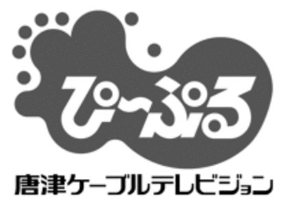 株式会社ぴーぷる